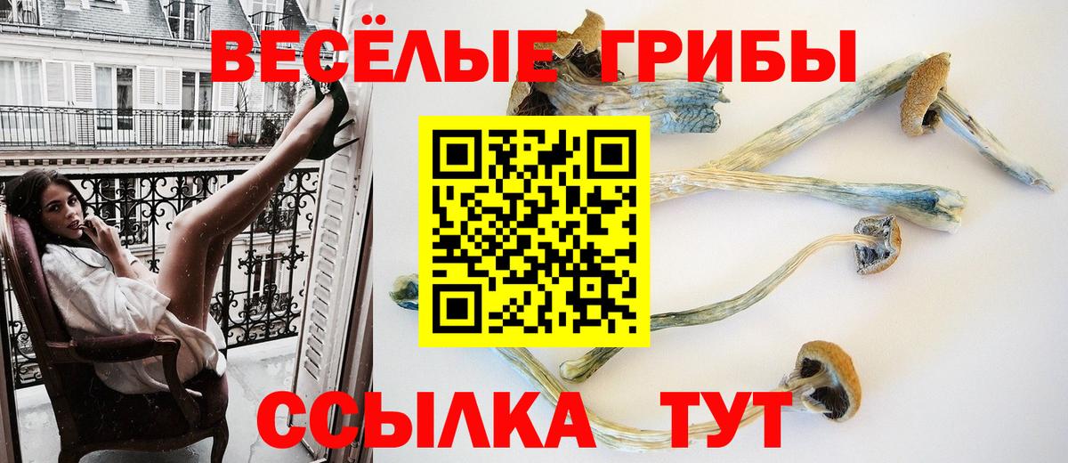 Галлюциногенные грибы мицелий Нижневартовск